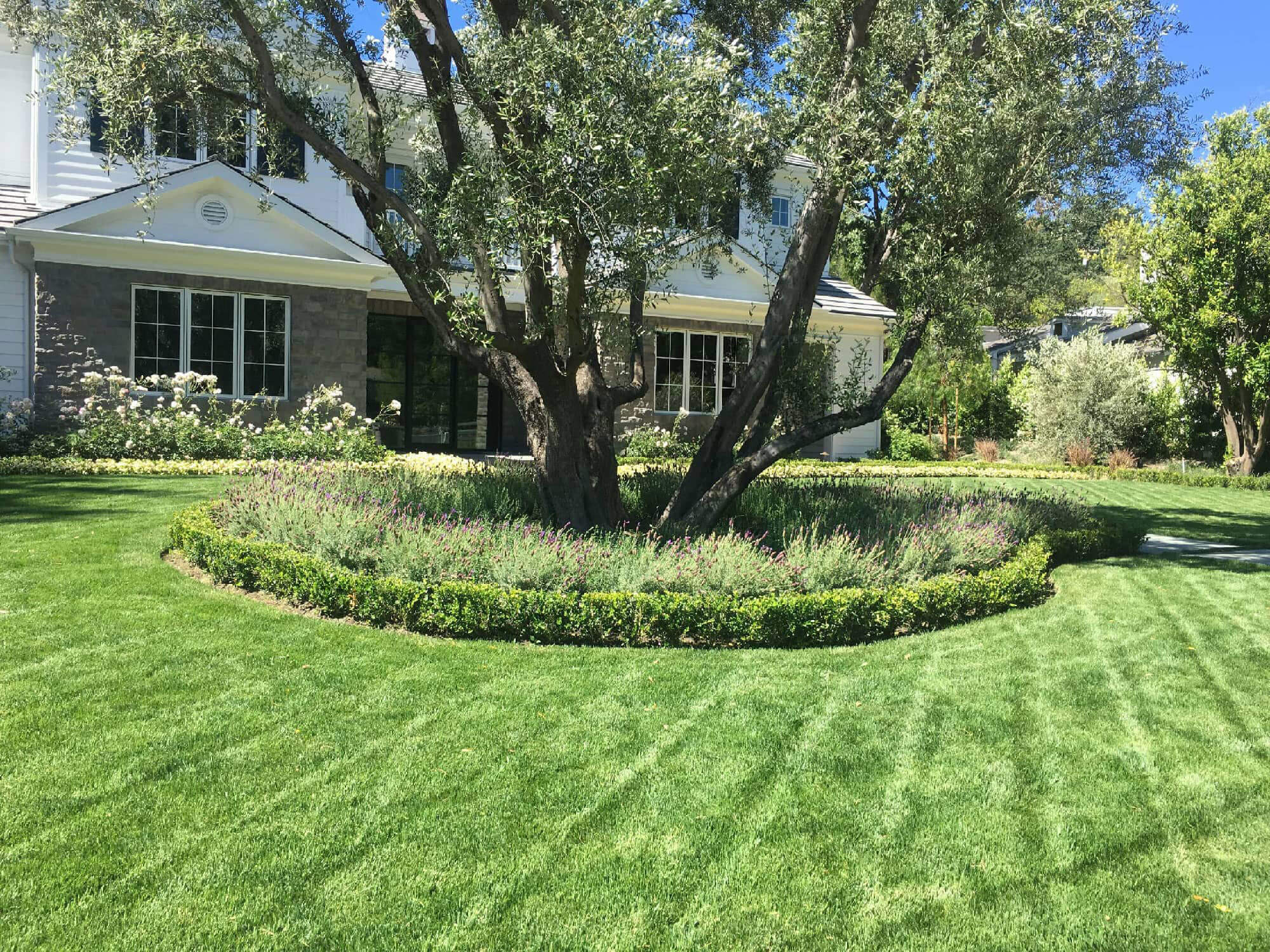 Landscape Maintenance in Beverly Hills, Bel Air & Westwood, CA