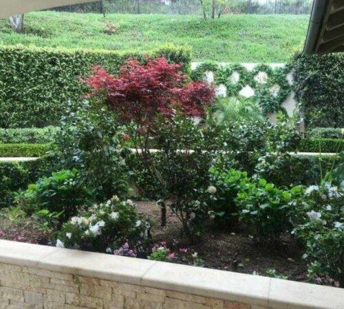 landscape irrigation in Beverly Hills