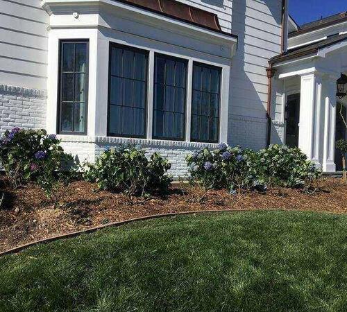 Before the landscape installation, showing preparation work in Beverly Hills