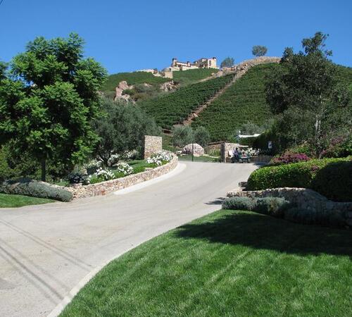 Vineyard design