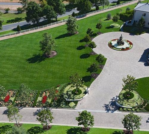 Green garden landscape