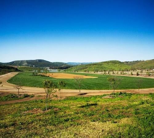 Field Landscaping by Landscape by Jeffery Inc.