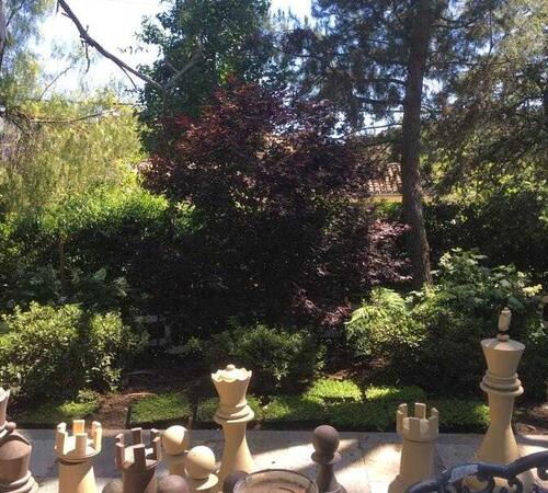 Large Chess Setup in  a Garden