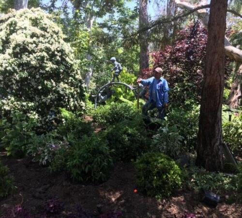 Expert garden work and maintenance services in Beverly Hills