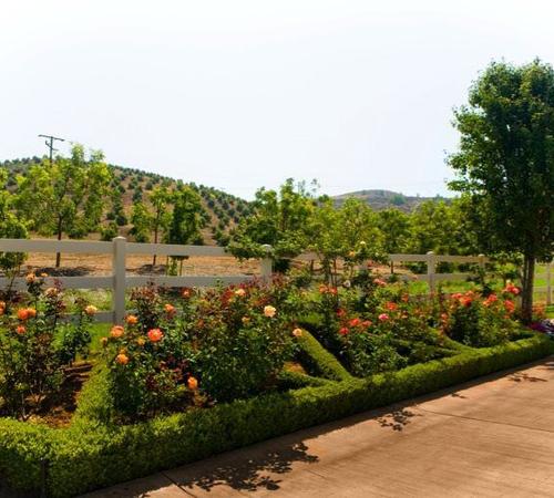 Landscape Maintenance In Beverly Hills