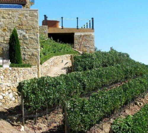 We can do vineyard installations in Beverly Hills, CA