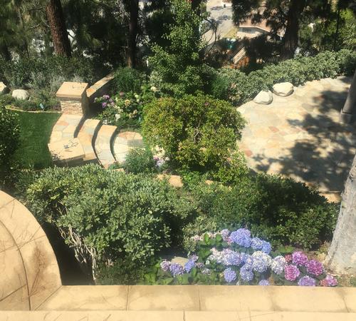 Outdoor garden landscape