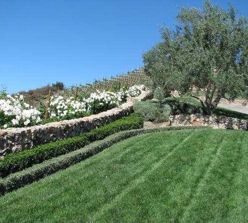 Vineyard & Orchards Installation in Beverly Hills, Bel Air & Westwood, CA