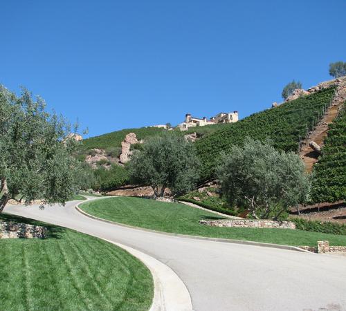Vineyard installation in Beverly Hills