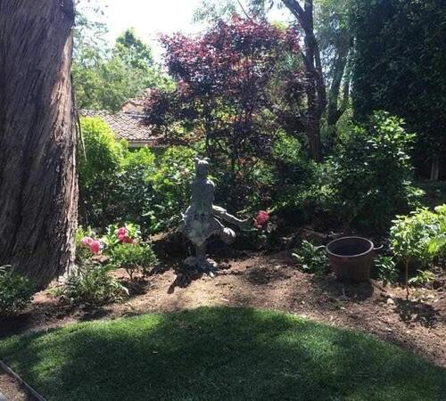 Backyard landscape installation