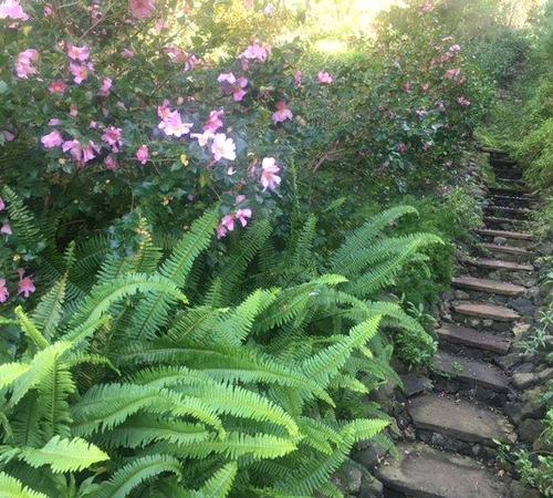 Top-Quality Masonry Services in Beverly Hills, CA