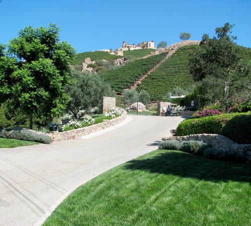 Beautiful garden landscape