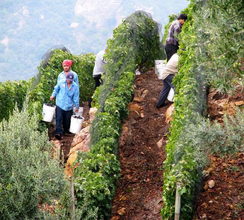 Landscape Irrigation By Landscape by Jeffery Inc.