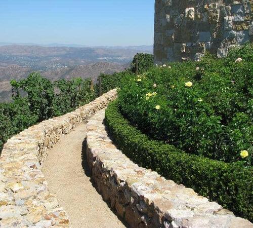 Vineyard landscape design