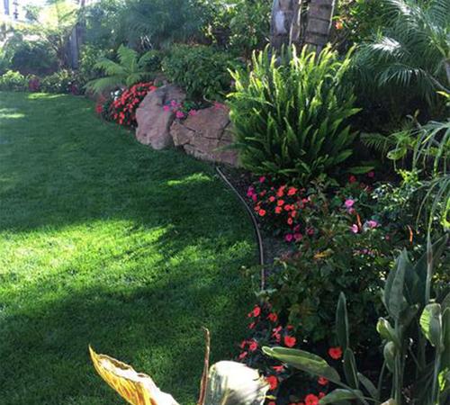 Landscape Maintenance in Beverly Hills, Bel Air & Westwood, CA