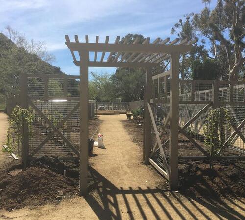 Landscaping construction in Beverly Hills, CA