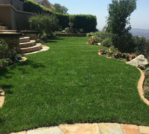 Landscape Maintenance Services in Beverly Hills, Bel Air & Westwood, CA
