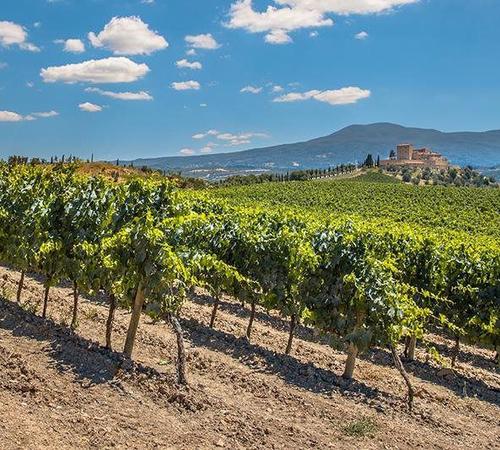 Designing a Landscape with Trees