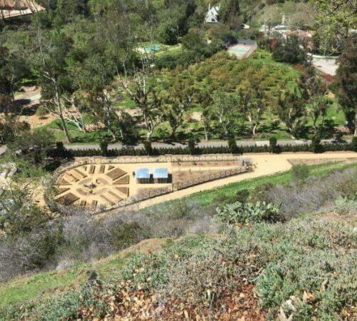 Landscape installation in Beverly Hills