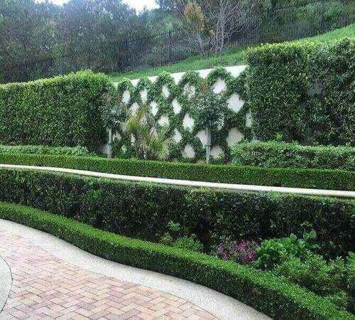 Landscape Installation in Beverly Hills, CA