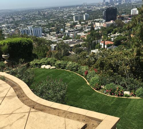 Landscape Design Services in Beverly Hills, Westwood & More