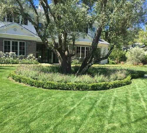 Landscape maintenance in Beverly Hills