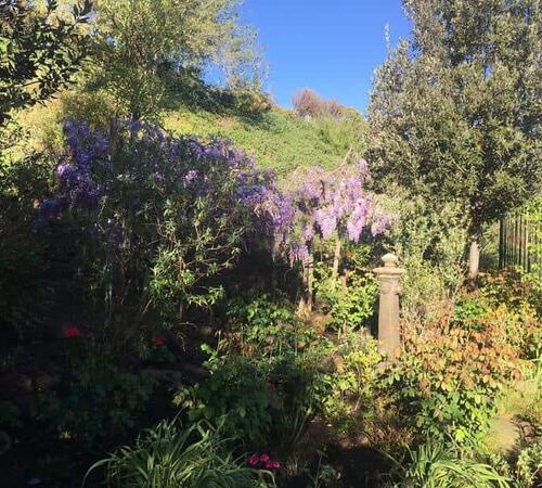 Elegant Landscape Lighting Services in Beverly Hills, CA