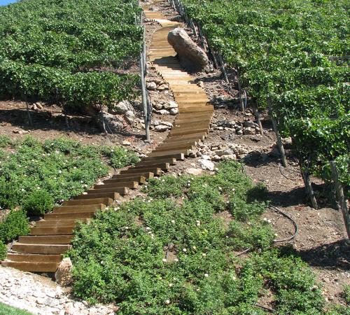 Vineyards Landscape by Landscapes by Jeffery, Inc.