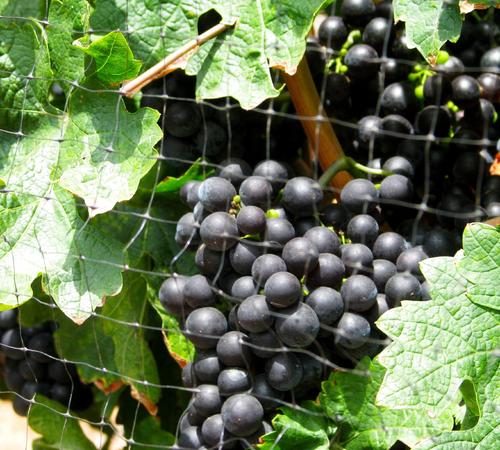 Landscape by Jeffery Inc.