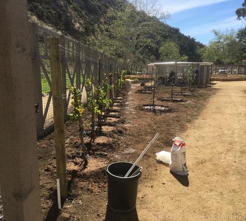 Landscape Design Services in Beverly Hills, Westwood & More