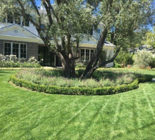 Home landscape maintenance in Beverly Hills, CA