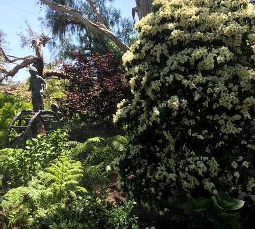 Garden by Landscapes By Jeffery