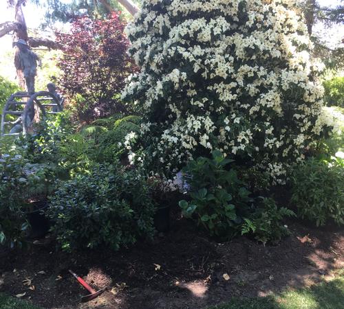 Advance Hydroseeding Services in Beverly Hills, CA