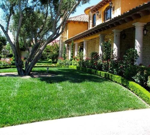 Lawn irrigation services in Beverly Hills, CA