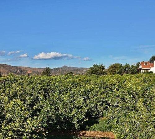 Landscape by Jeffery Inc.