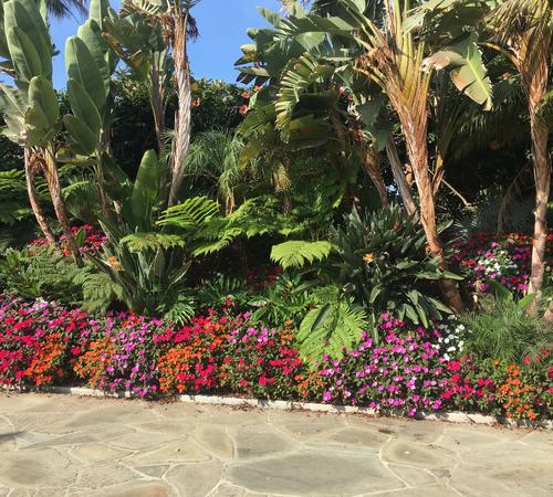 Landscape Installations in Beverly Hills