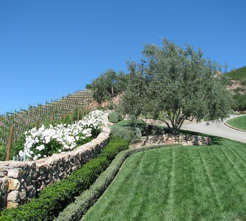 Garden Landscaping In Beverly Hills