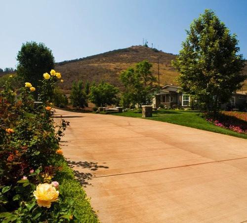Traditional garden layout with ornamental trees and colorful plants in Beverly Hills