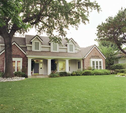 Tree Trimming Services in Beverly Hills, Bel Air & Westwood, CA