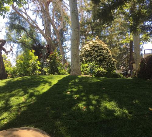 Landscape Design Services in Beverly Hills, Westwood & More