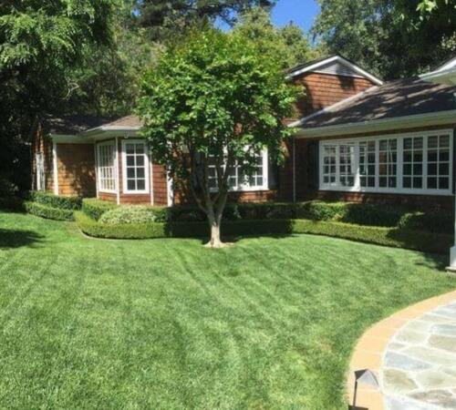 Landscape maintenance in Beverly Hills