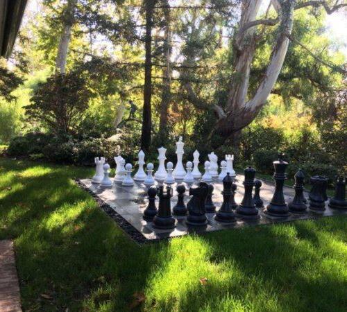 Landscape Design Services in Beverly Hills, Westwood & More