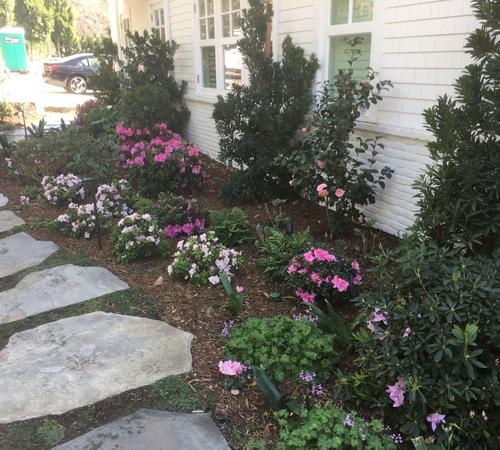 Outdoor garden landscape