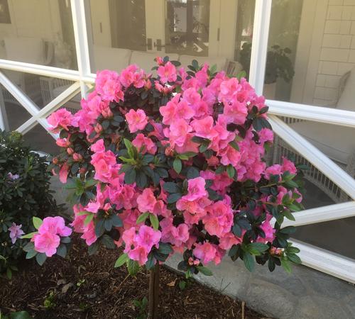 Landscape Irrigation By Landscape by Jeffery Inc.